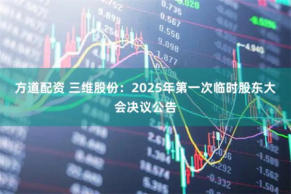 方道配资 三维股份：2025年第一次临时股东大会决议公告